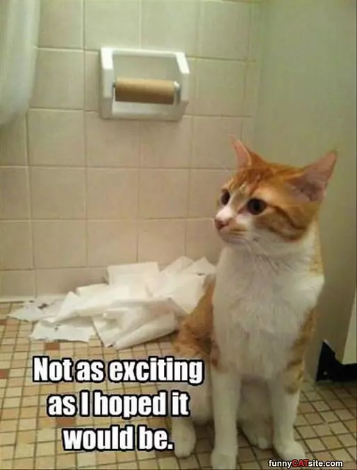 Not As Exciting