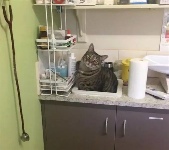 In That Sink