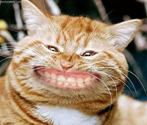 Big Smiles