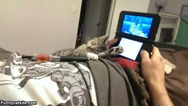 I Will Sleep Here