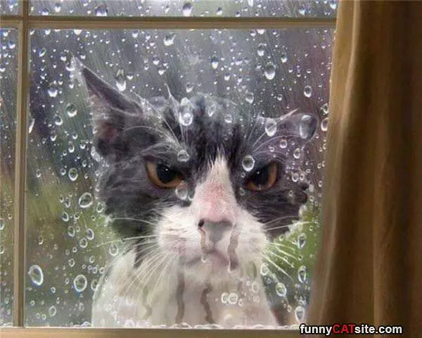 You Let Me In Right Now