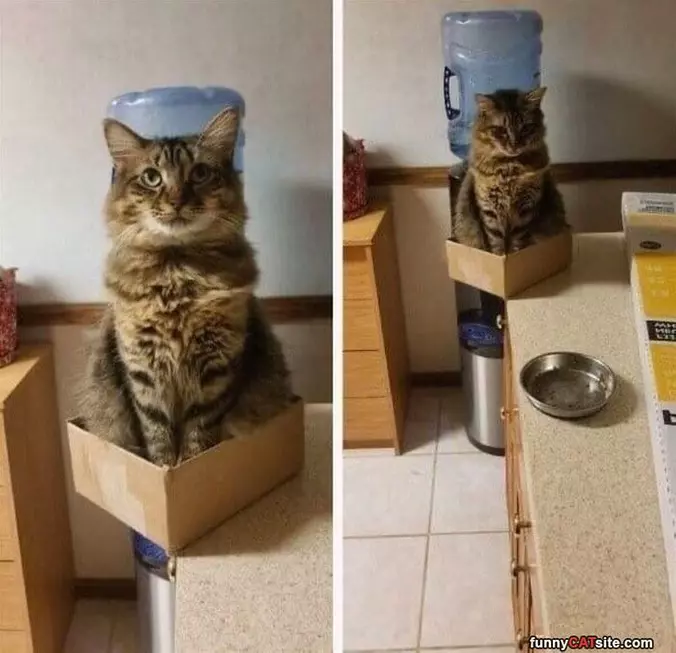 This Box Still Works