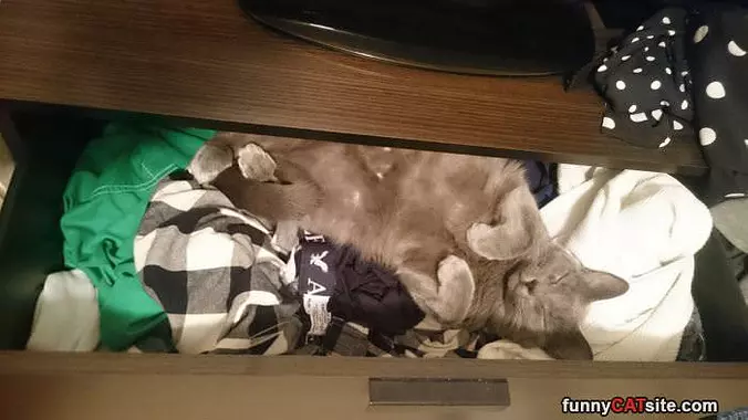 Found A Good Bed