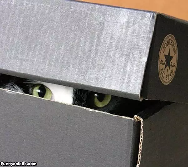 I See You