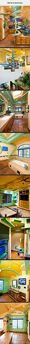 Cat Rules The House