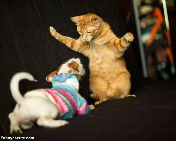 You Back Off Now
