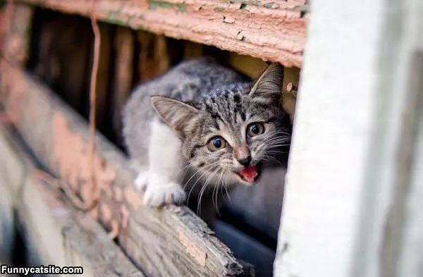 Hey There