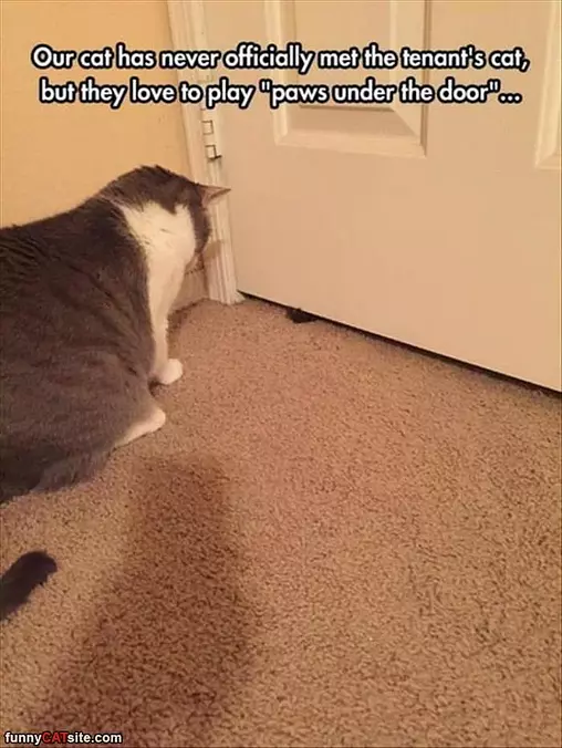 Have Not Officially Met
