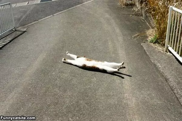 Streeeeetch