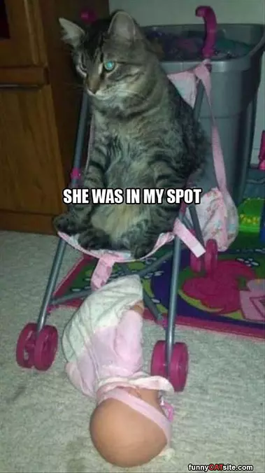 In My Spot