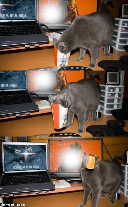 I Got Stuck Again
