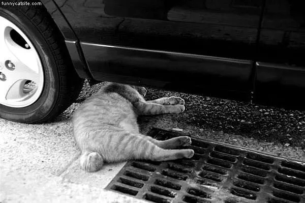 Sleep Anywhere