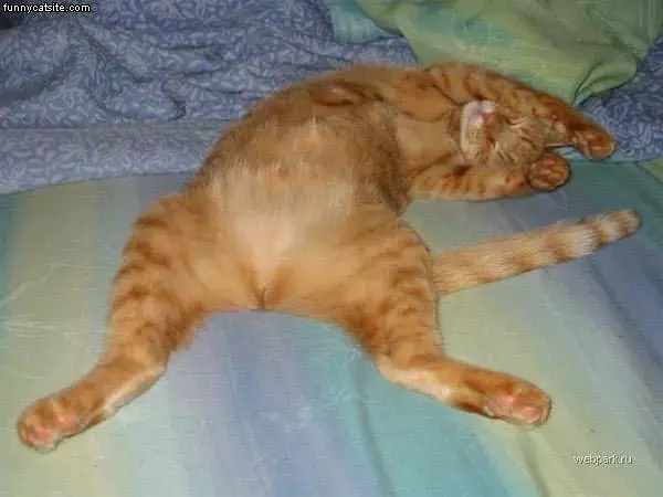 Time To Wakey