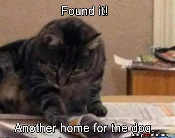 Found It