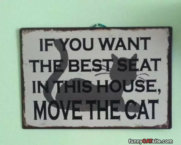 Best Seat In The House