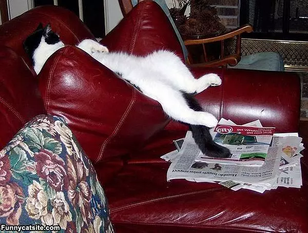 This Is So Comfy