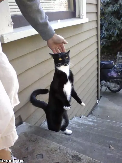 Standing Up