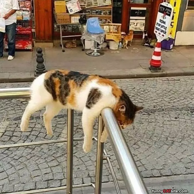 On The Rails