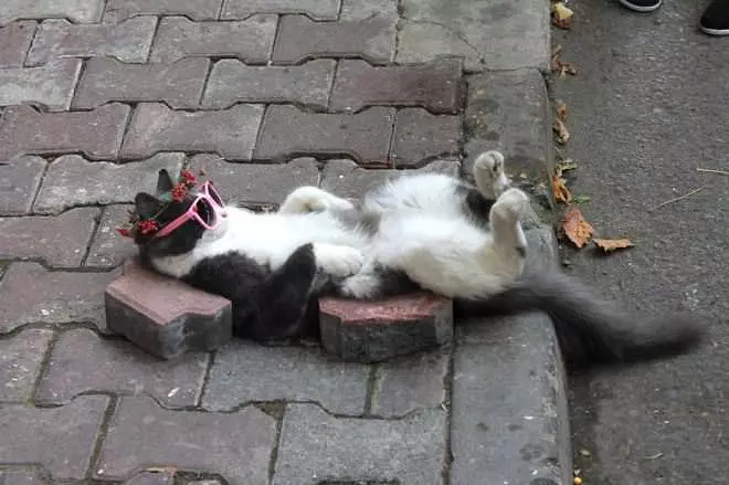 I Excell At Chilling