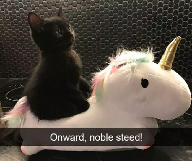 Onward