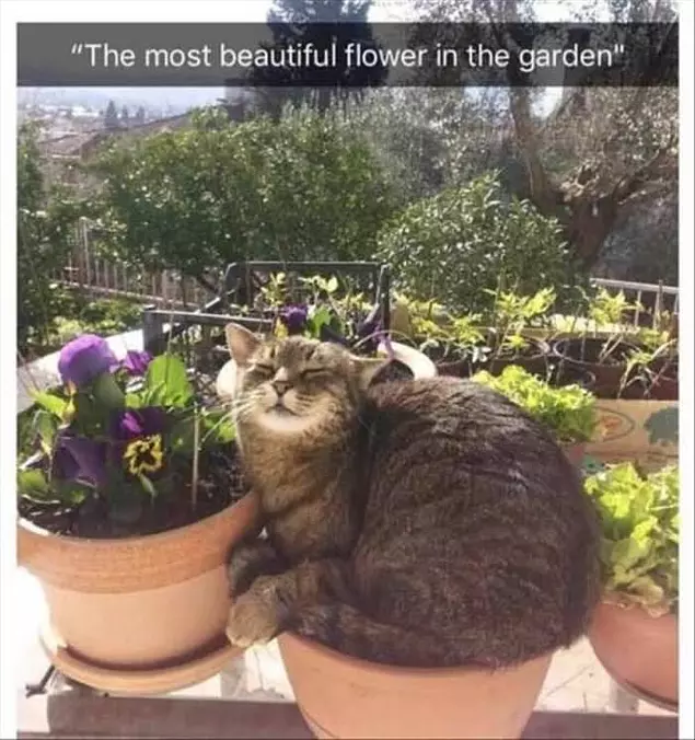 Most Beautiful