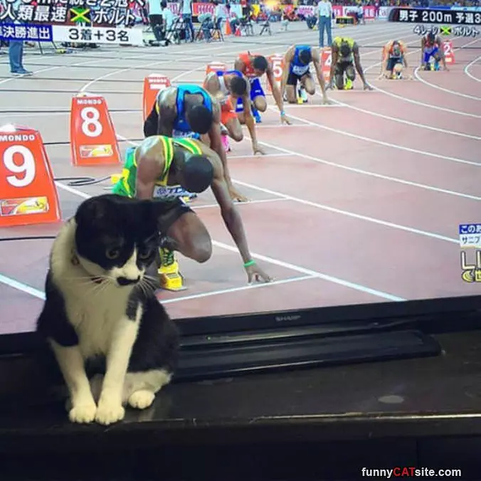 Ready To Race