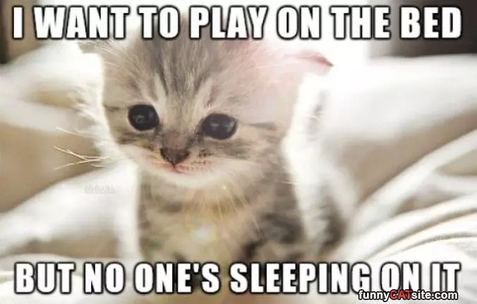 I Want To Play On The Bed