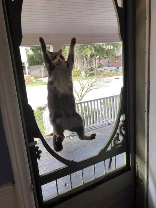 Heyyyyyyyy Let Me In