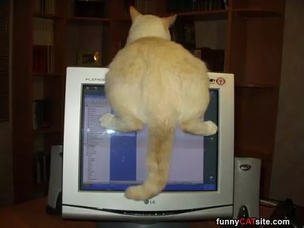 How I Sit Today