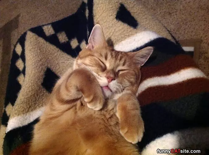Sleep How I Wants