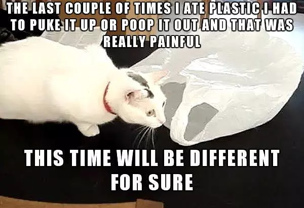 Last Couple Times