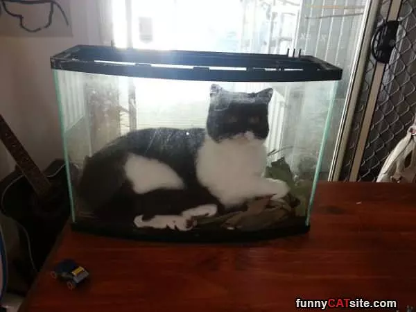 My Own Personal Bubble