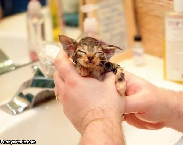 Its My Bath Time