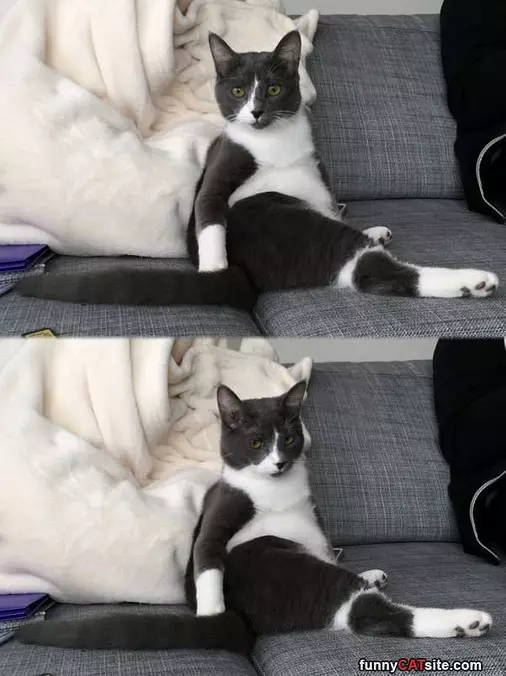 Sassy Sitter