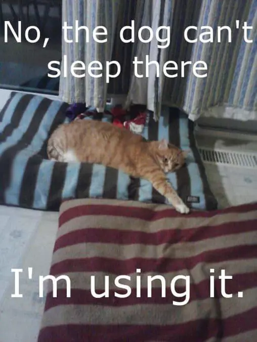 No Not There