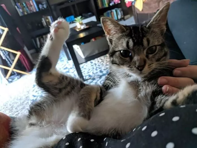 My Relaxed Pose