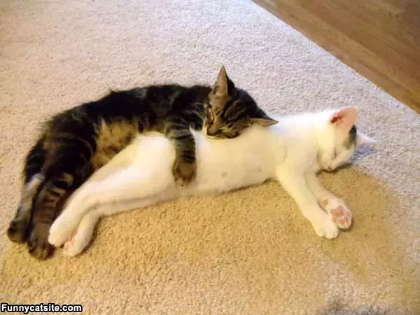 We Hug It Out