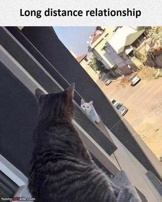 Long Distance Relationship