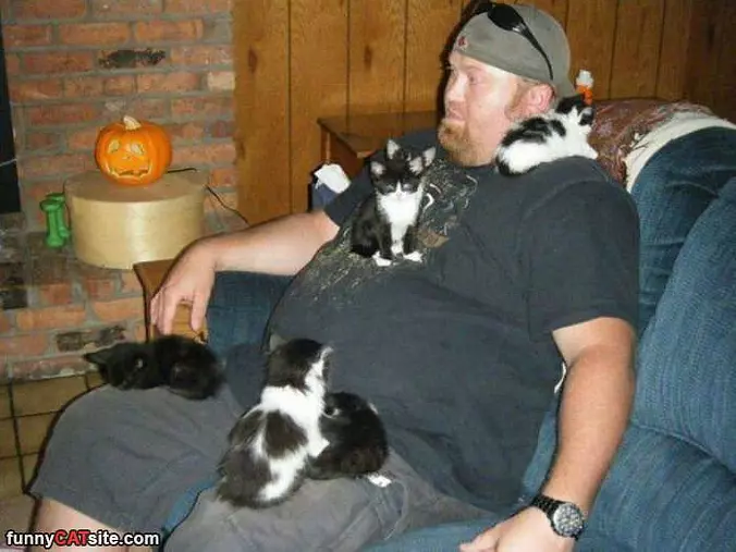 I Am Cat Man