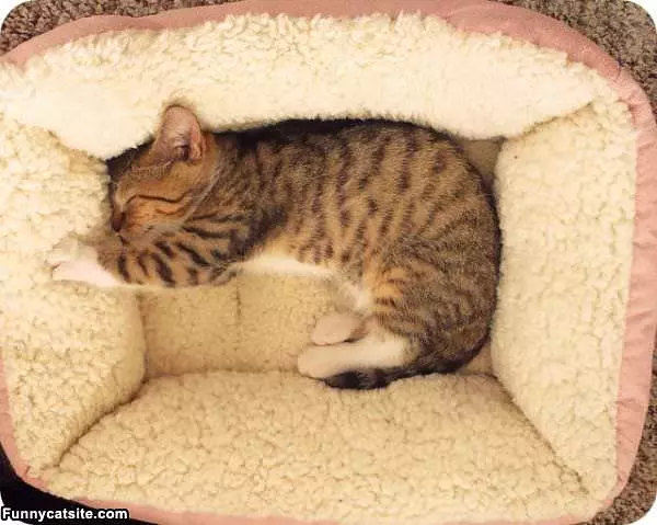 I Am So Sleepy