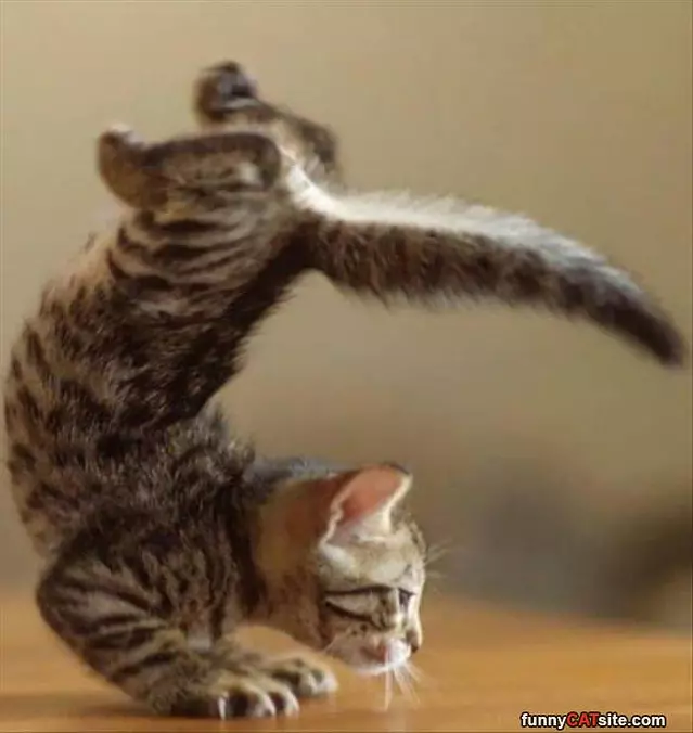 Matrix Walking