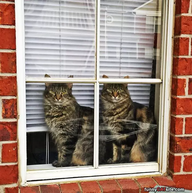 Double Trouble