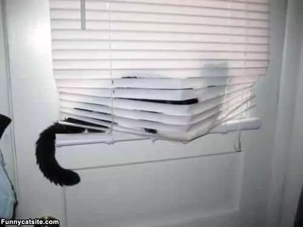I Like Sitting Here