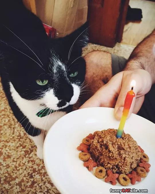 This Is My Cake