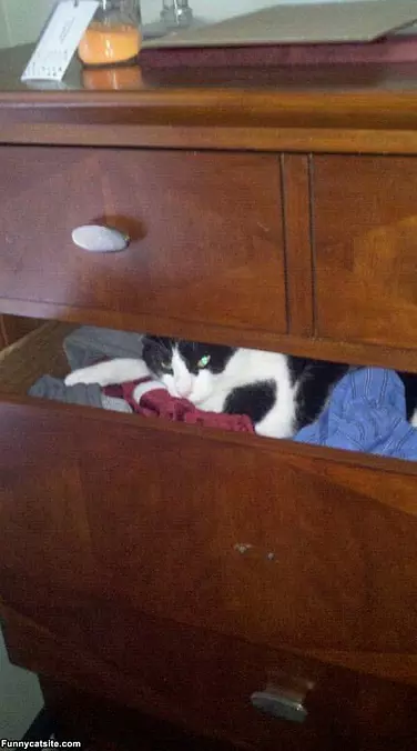 My Drawer