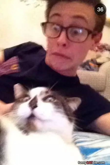 We Are Look Alikes