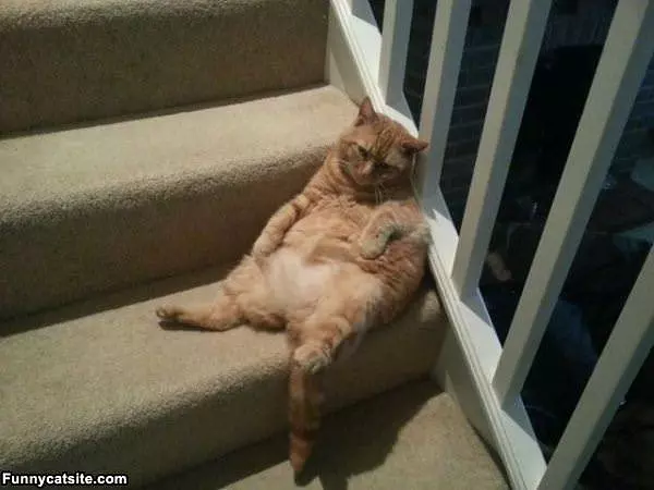 Sitting Around Lazy
