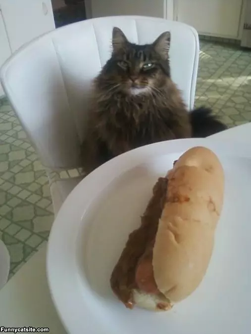 Can I Have That