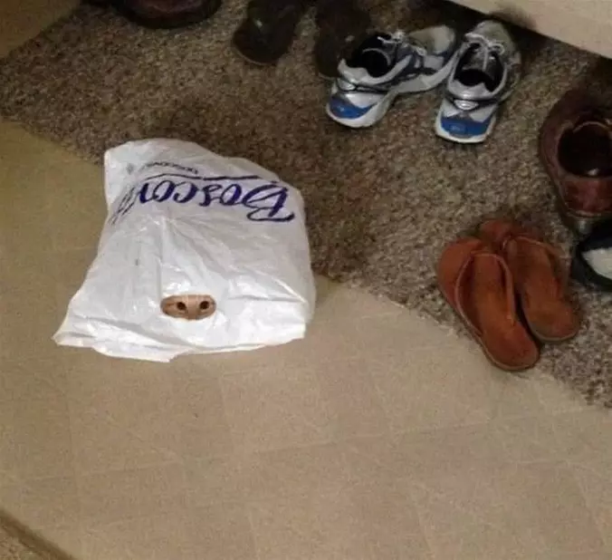 In The Bag