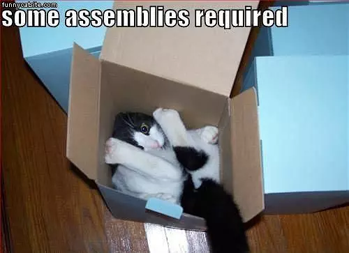 Assembly